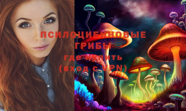 амф Абинск