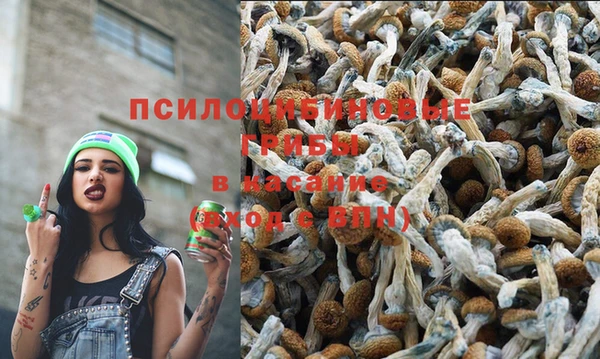 амф Абинск