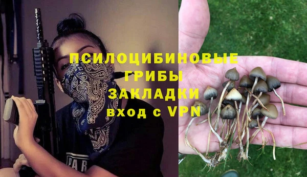 бошки Зеленодольск