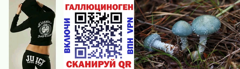 купить закладку Братск Галлюциногенные грибы GOLDEN TEACHER